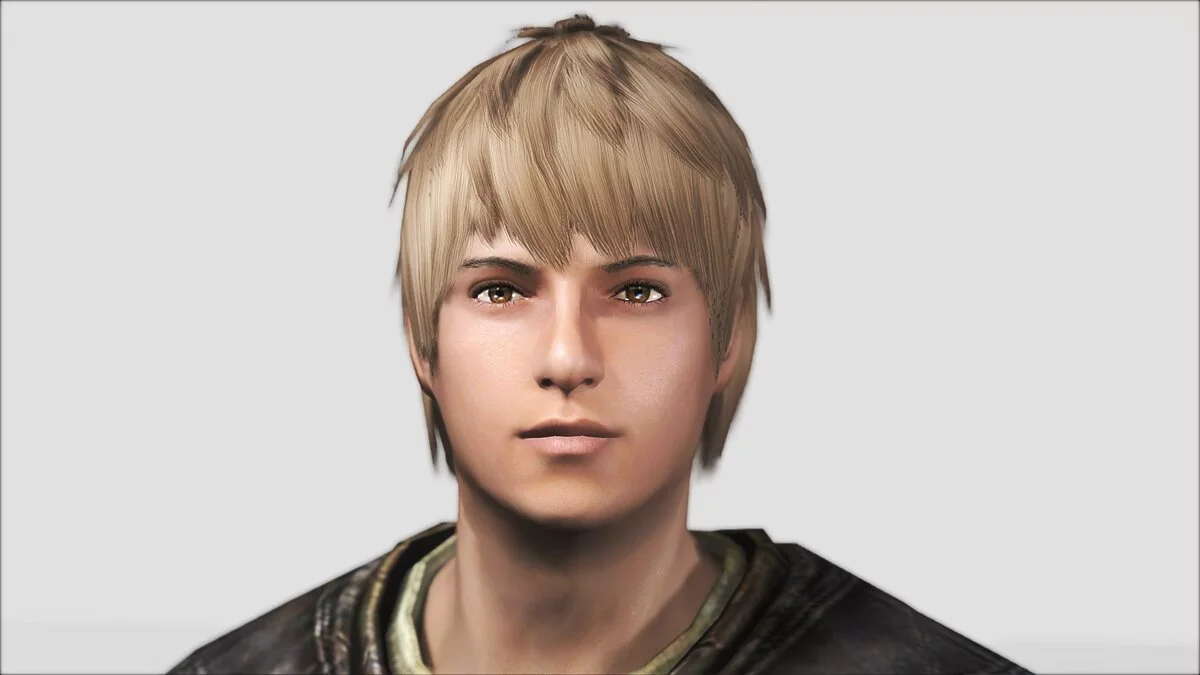 The Elder Scrolls 5: Skyrim Legendary Edition — Красивые лица