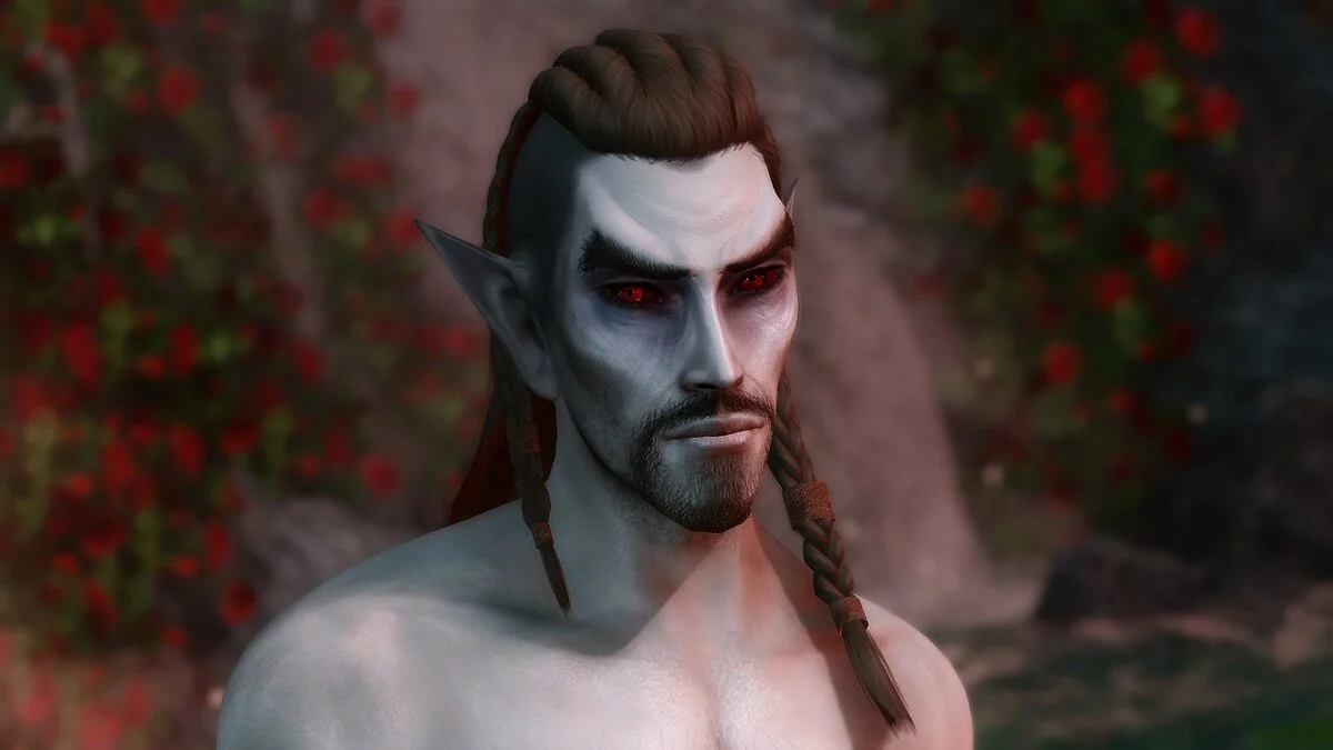 The Elder Scrolls 5: Skyrim Legendary Edition — Огромный набор причесок