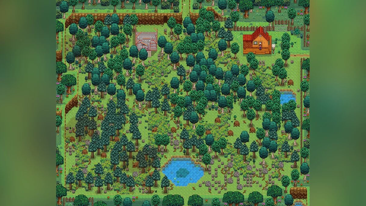 Stardew Valley — Грязная трава