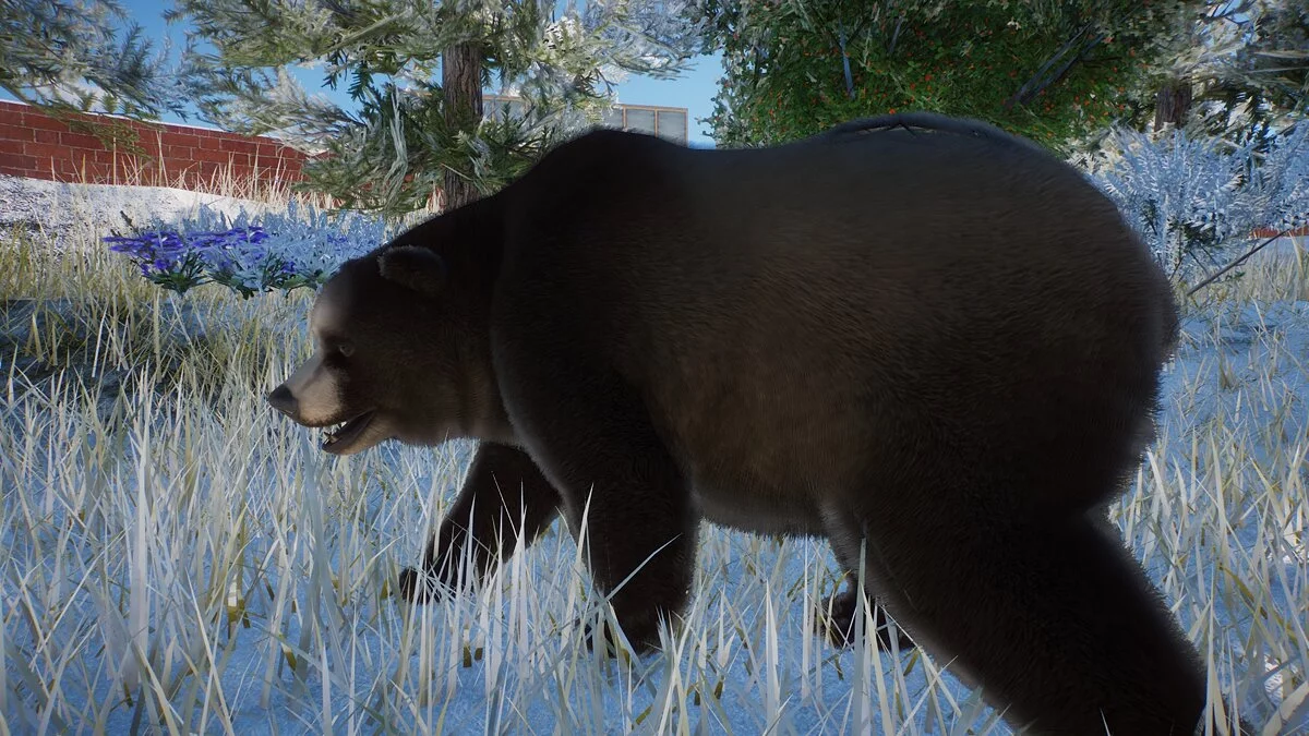 Planet Zoo — Пещерный медведь