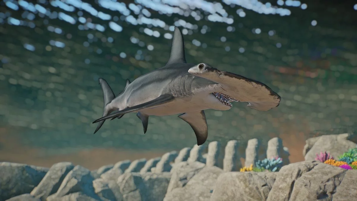 Planet Zoo — Акула-молот - новый вид
