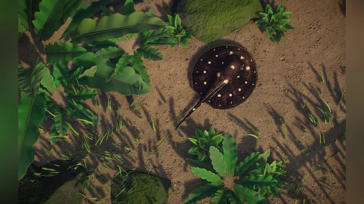 Planet Zoo — Новый вид - речной скат с белыми пятнами