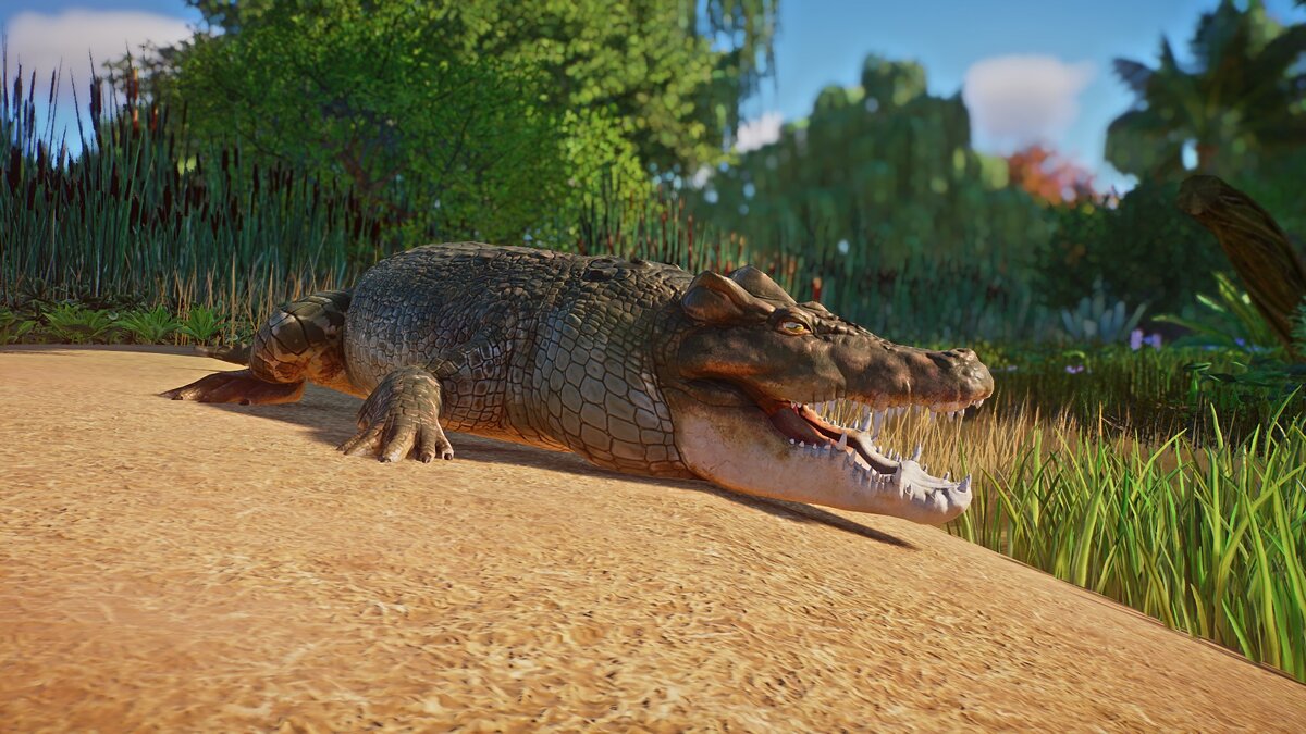 Planet Zoo — Малагасийский рогатый крокодил - новый вид