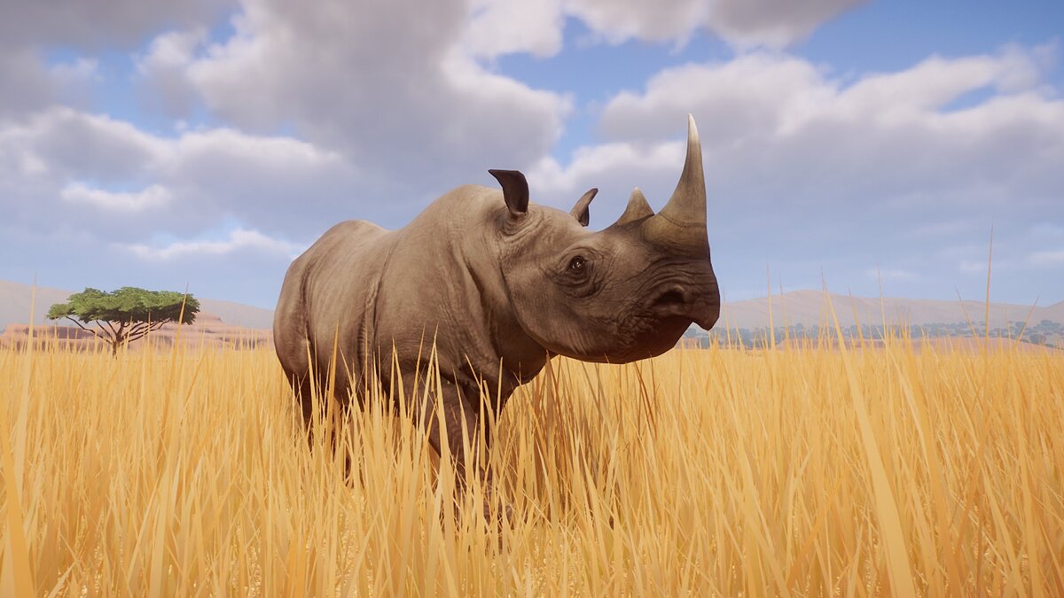 Planet Zoo — Новый вид - Восточный черный носорог
