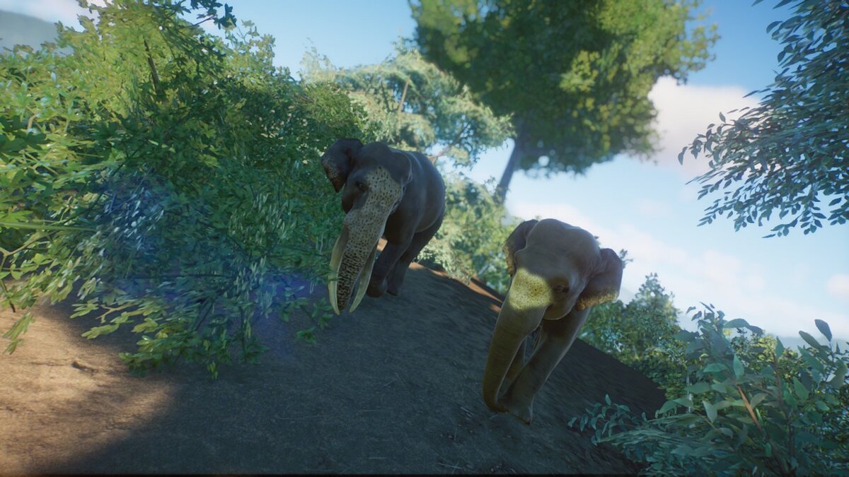 Planet Zoo — Шри-ланкийский слон (новый вид)