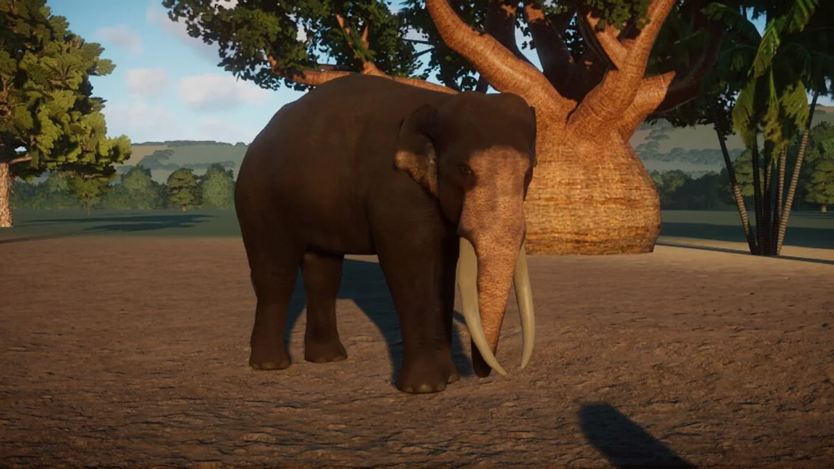 Planet Zoo — Шри-ланкийский слон (новый вид)