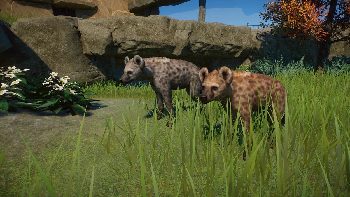 Planet Zoo — Пещерная гиена (замена)