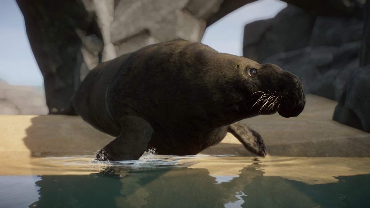 Planet Zoo — Южный морской слон новый вид