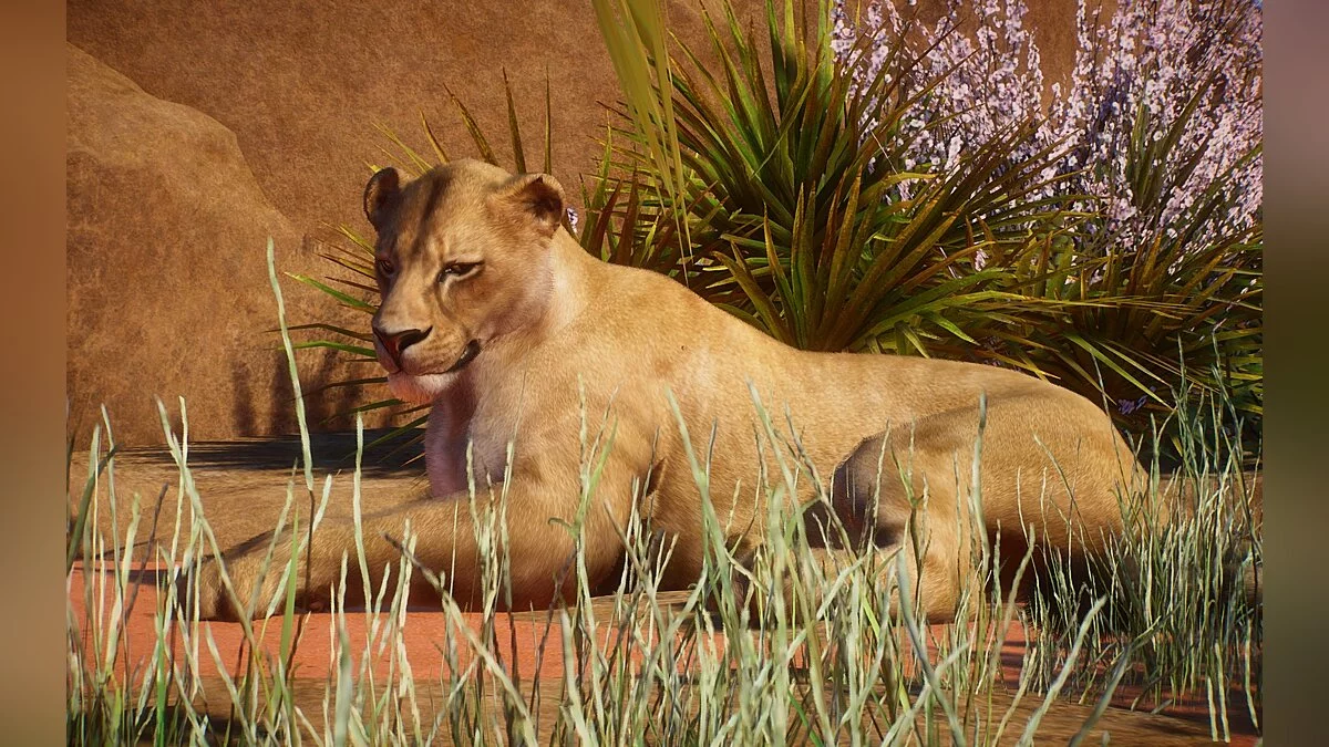 Planet Zoo — Новый вид - евразийский пещерный лев