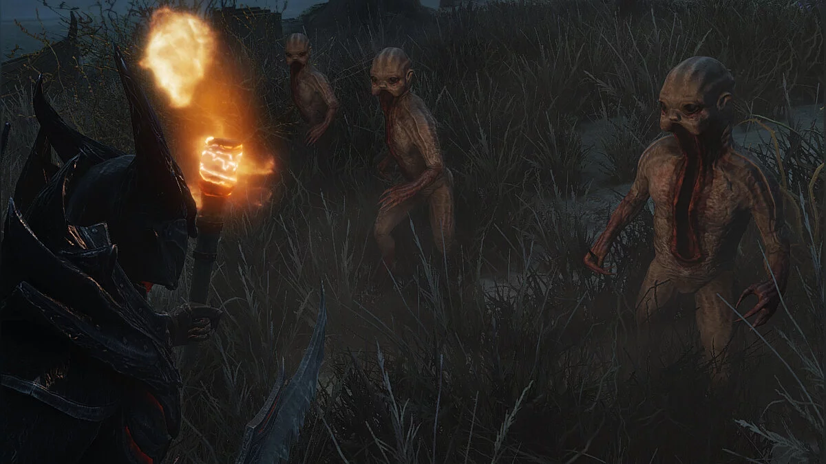 The Elder Scrolls 5: Skyrim Legendary Edition — Серые дети