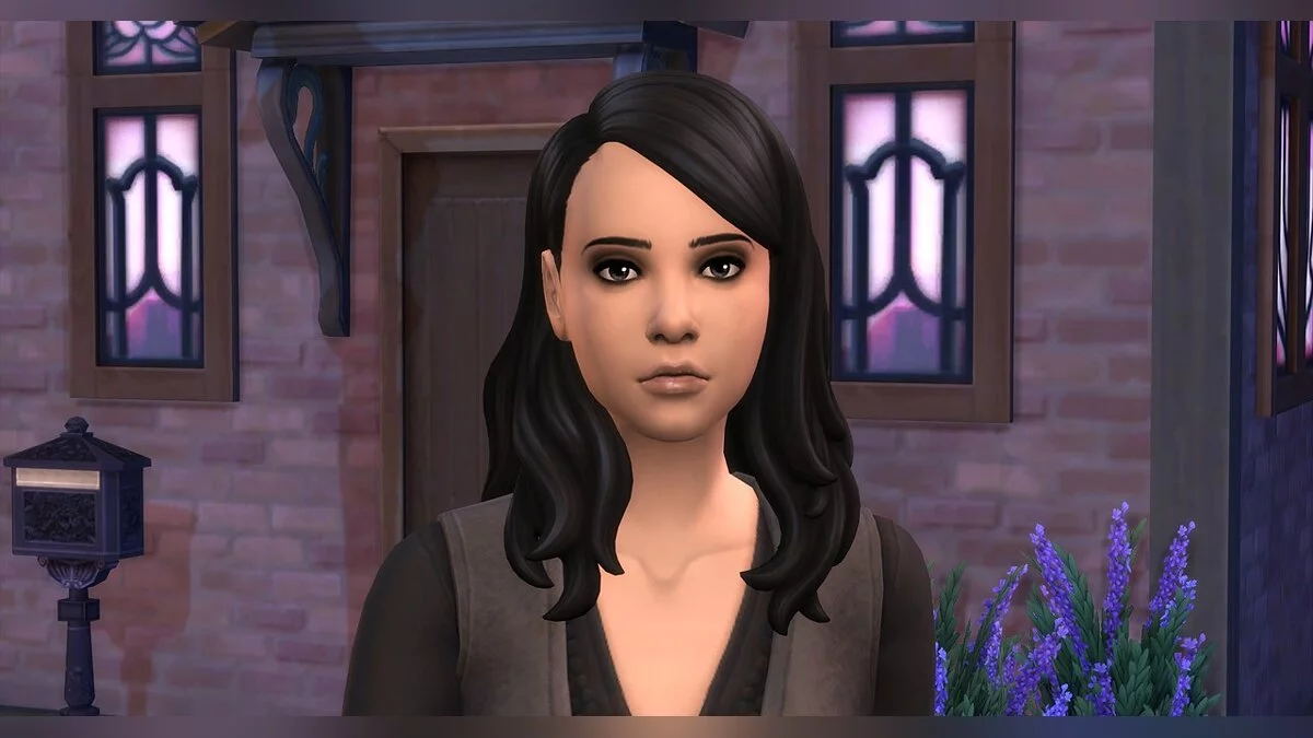 The Sims 4 — Волшебники