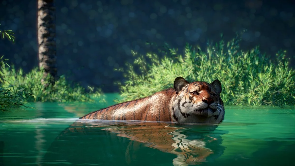 Planet Zoo — Новый вид малайского тигра