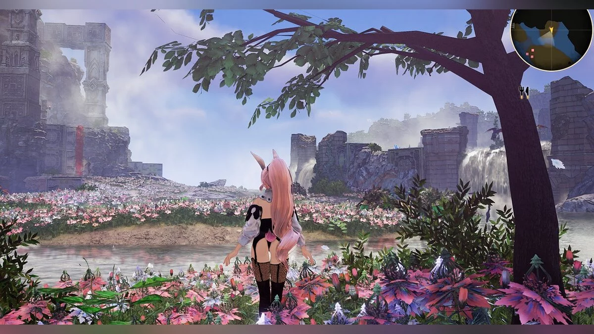 Tales of Arise — Девушки - зайчики