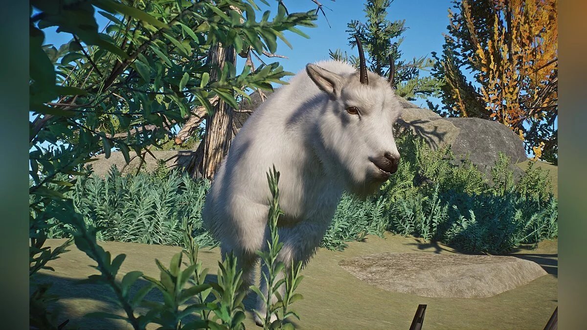 Planet Zoo — Новые виды - горный козел