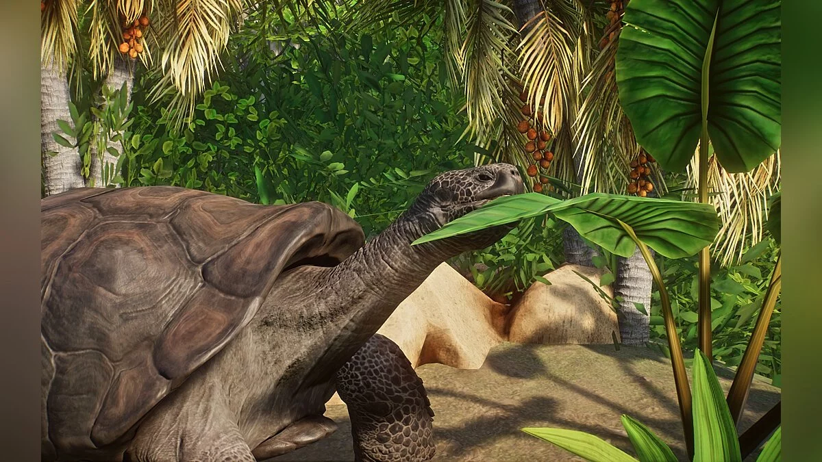 Planet Zoo — Новые виды - гигантская галапагосская черепаха