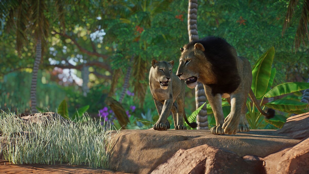 Planet Zoo — Северный лев — новые виды