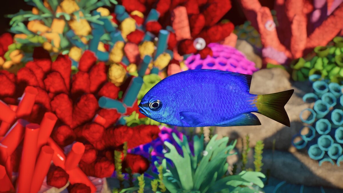 Planet Zoo — Рыба-девица — новые виды