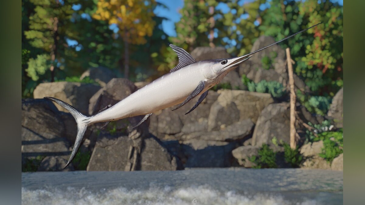 Planet Zoo — Атлантическая рыба-меч - новые виды