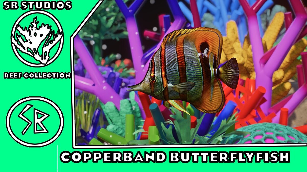 Planet Zoo — Рыба бабочка - новые виды