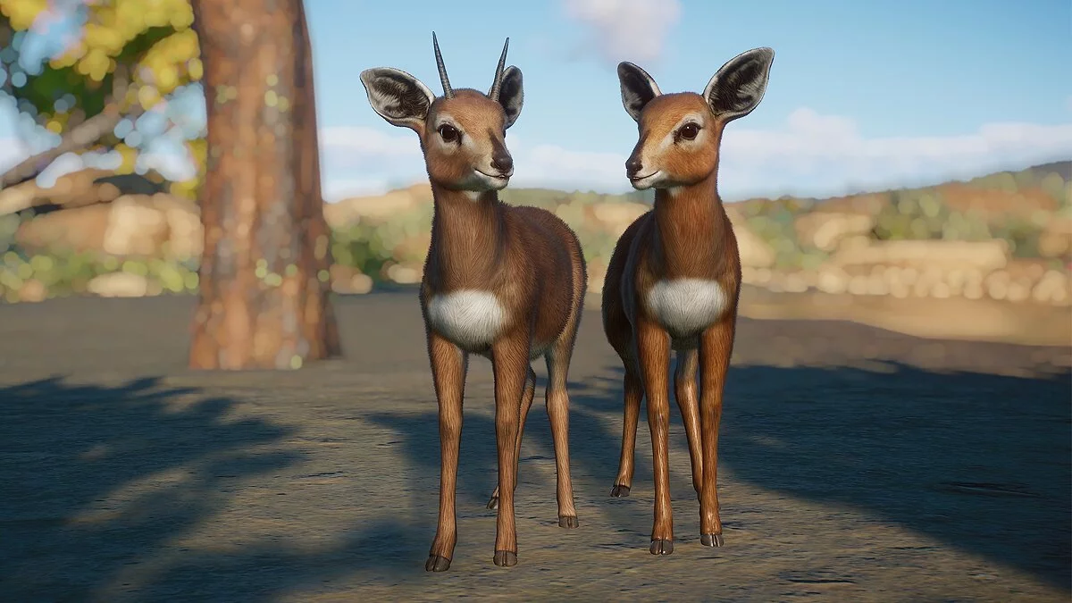 Planet Zoo — Стенбок - новые виды