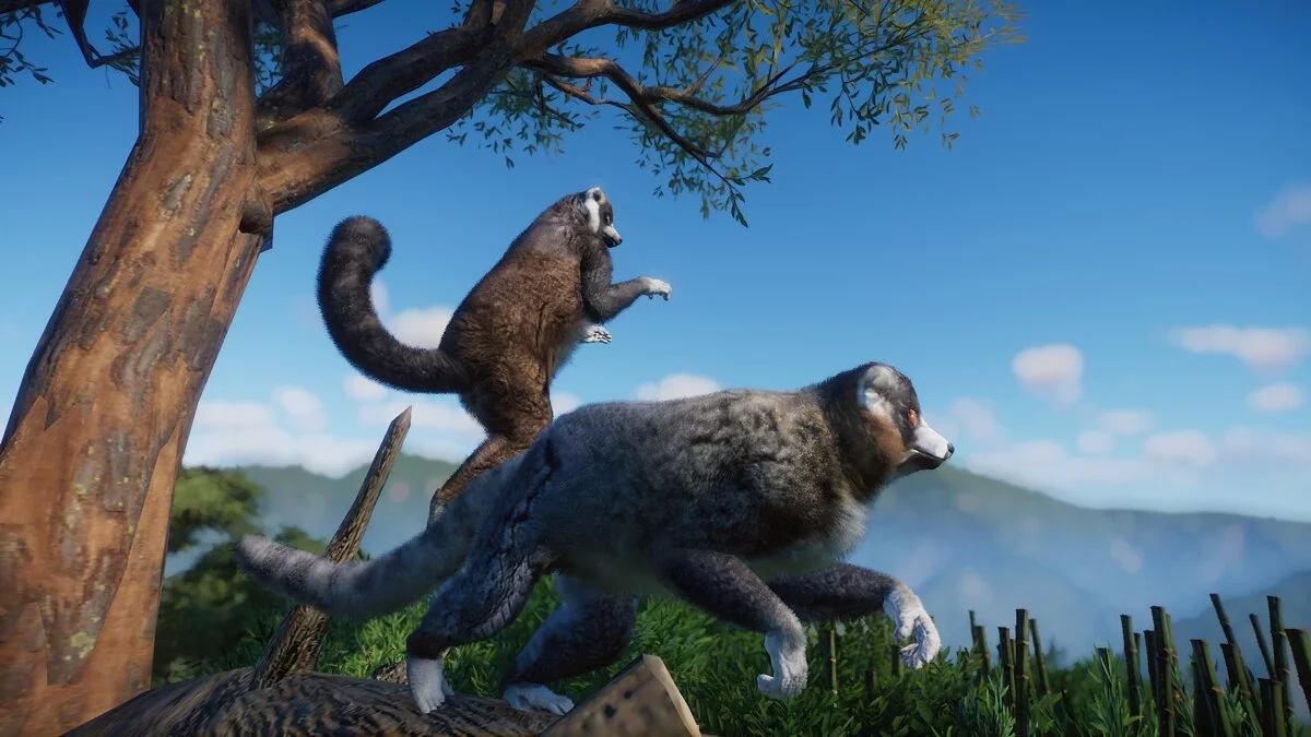 Planet Zoo — Новые виды - лемуры-мангусты