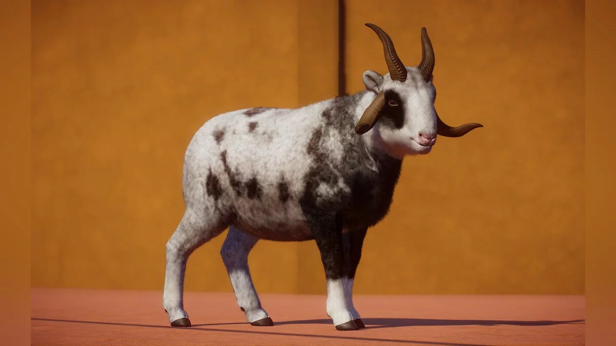 Planet Zoo — Новые виды - овцы Иакова