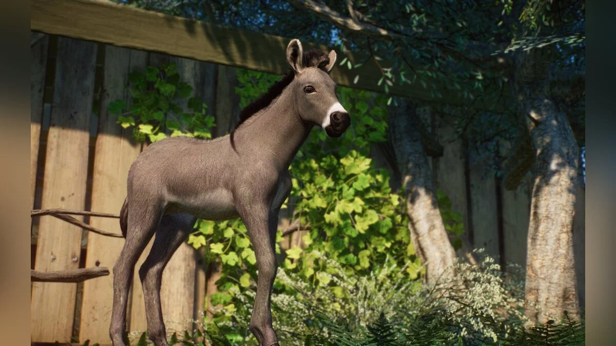 Planet Zoo — Новые виды - миниатюрный осел