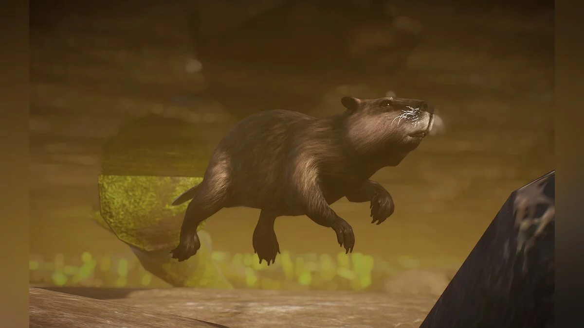 Planet Zoo — Новые виды - нутрии