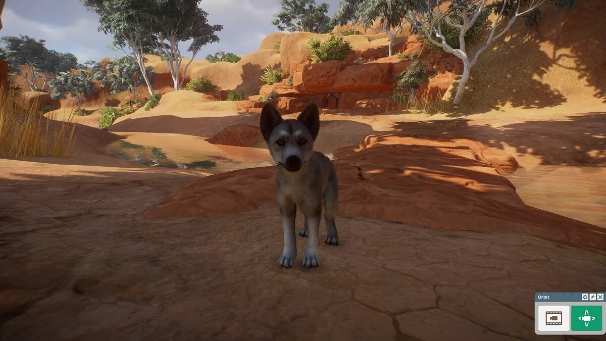 Planet Zoo — Улучшенные динго