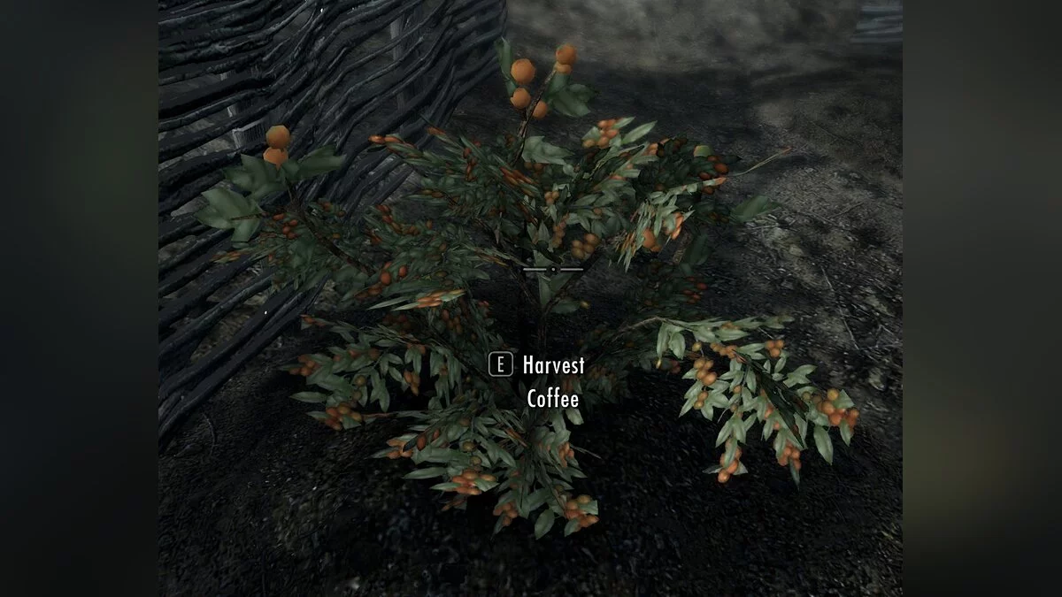 Elder Scrolls 5: Skyrim Special Edition — Тамриэльский кофе и чай