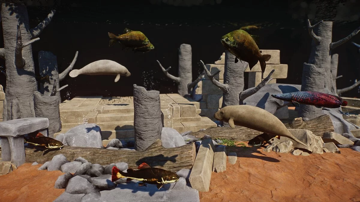 Planet Zoo — Новые виды – краснохвостый сом