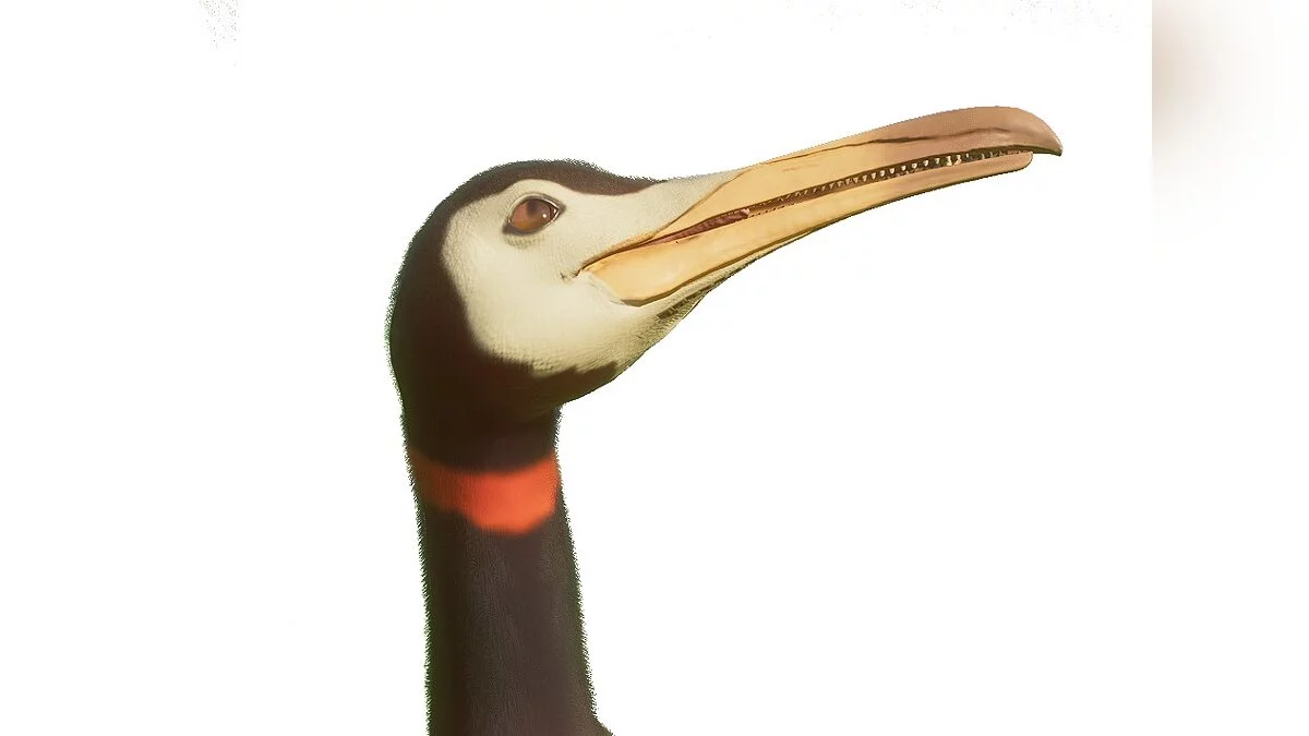 Planet Zoo — Новые виды - бапторнис