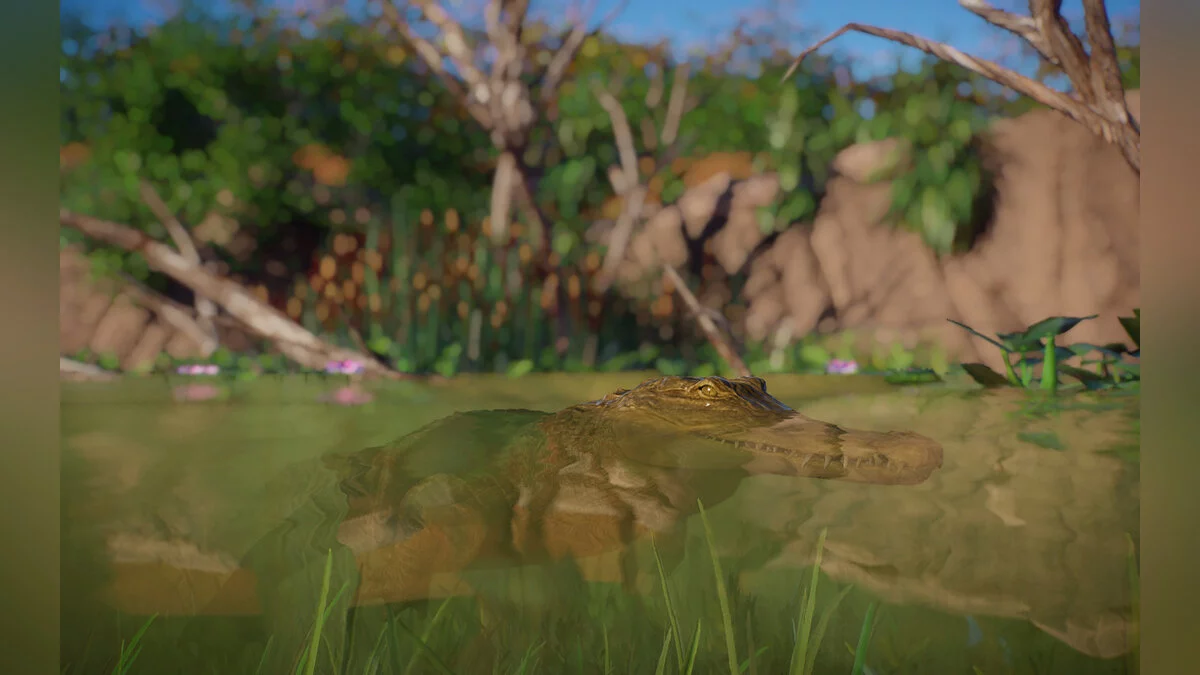 Planet Zoo — Новые виды — пресноводный крокодил