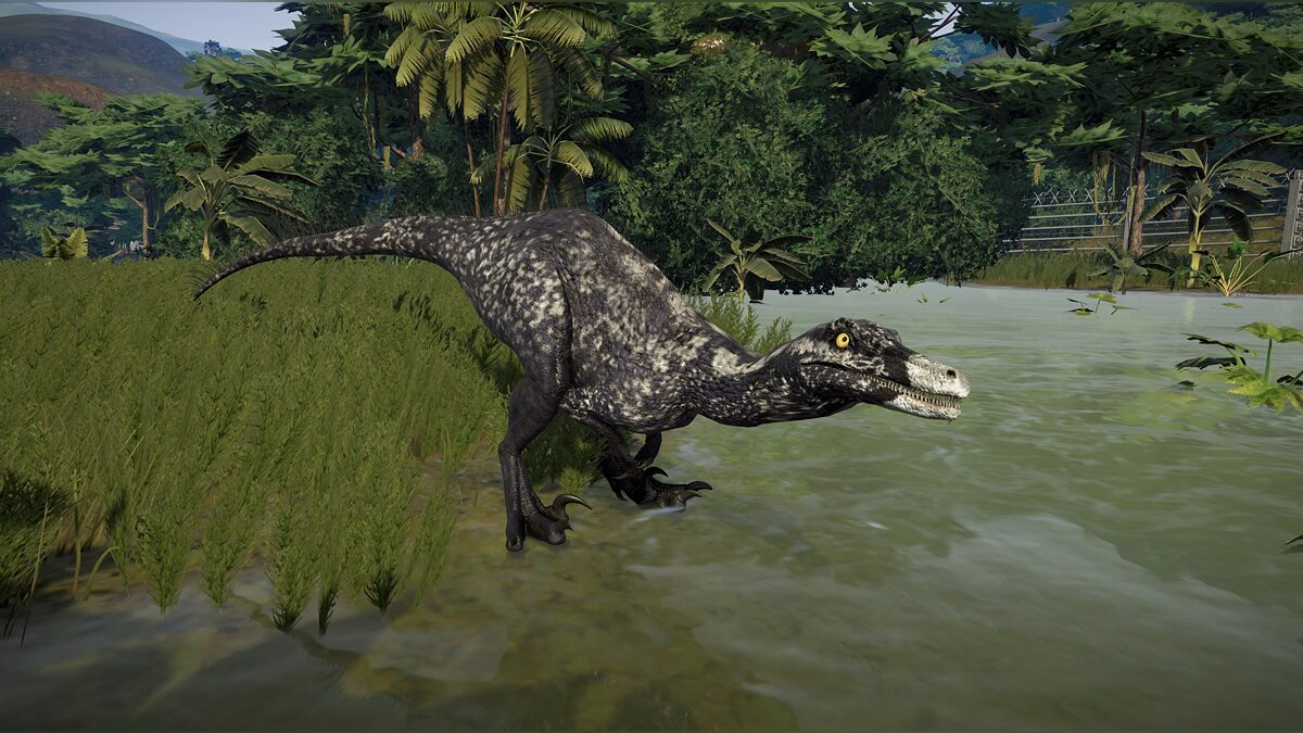 Jurassic World Evolution — Австрораптор Максли (новый вид)
