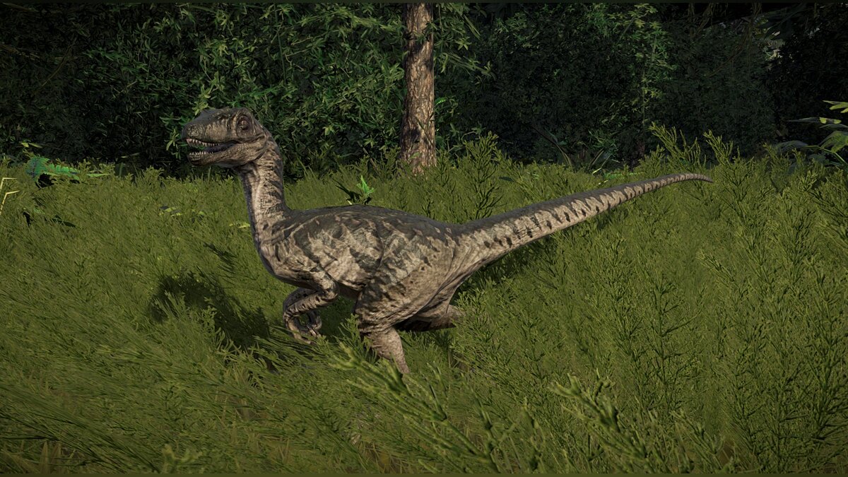 Jurassic World Evolution — Новараптор (новый гибрид)