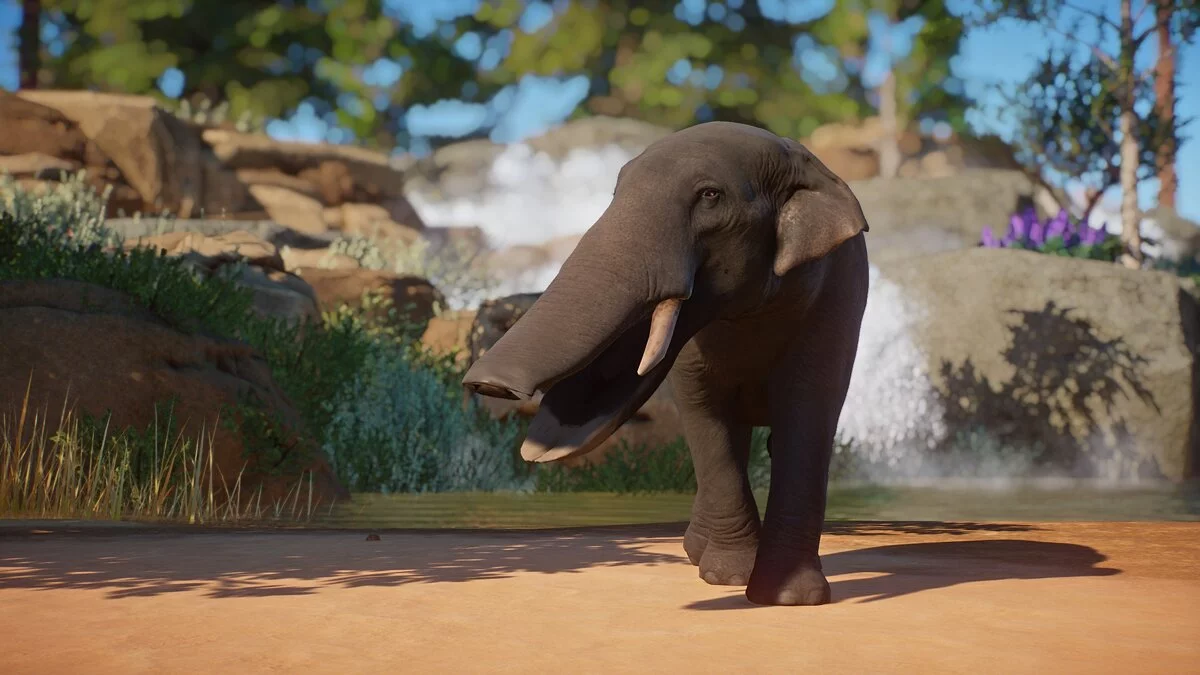 Planet Zoo — Платибелодон - новый вид