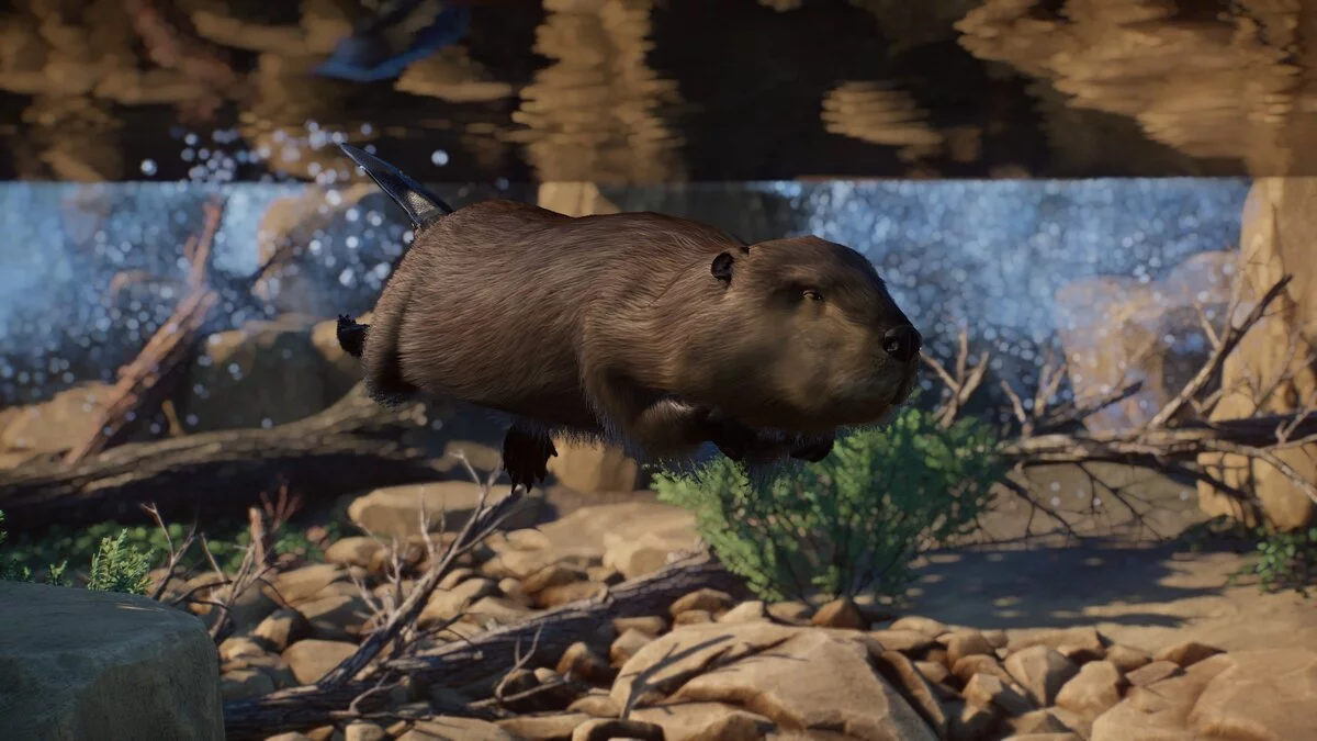 Planet Zoo — Гигантский бобр - новый вид