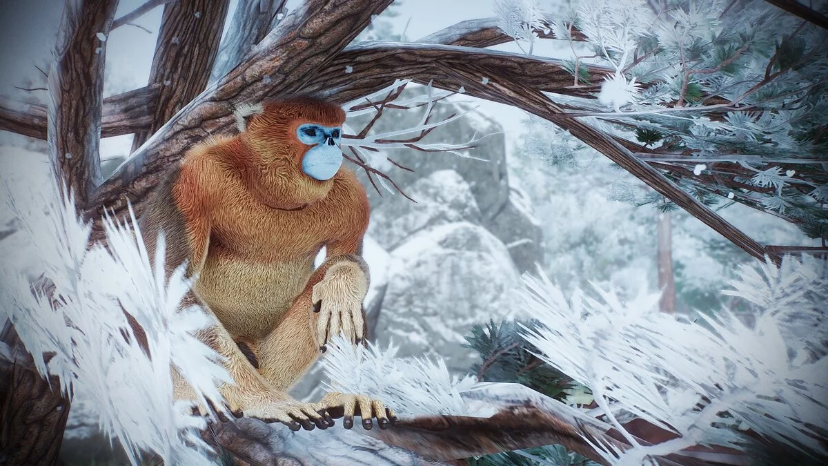 Planet Zoo — Новые виды - золотая курносая обезьяна