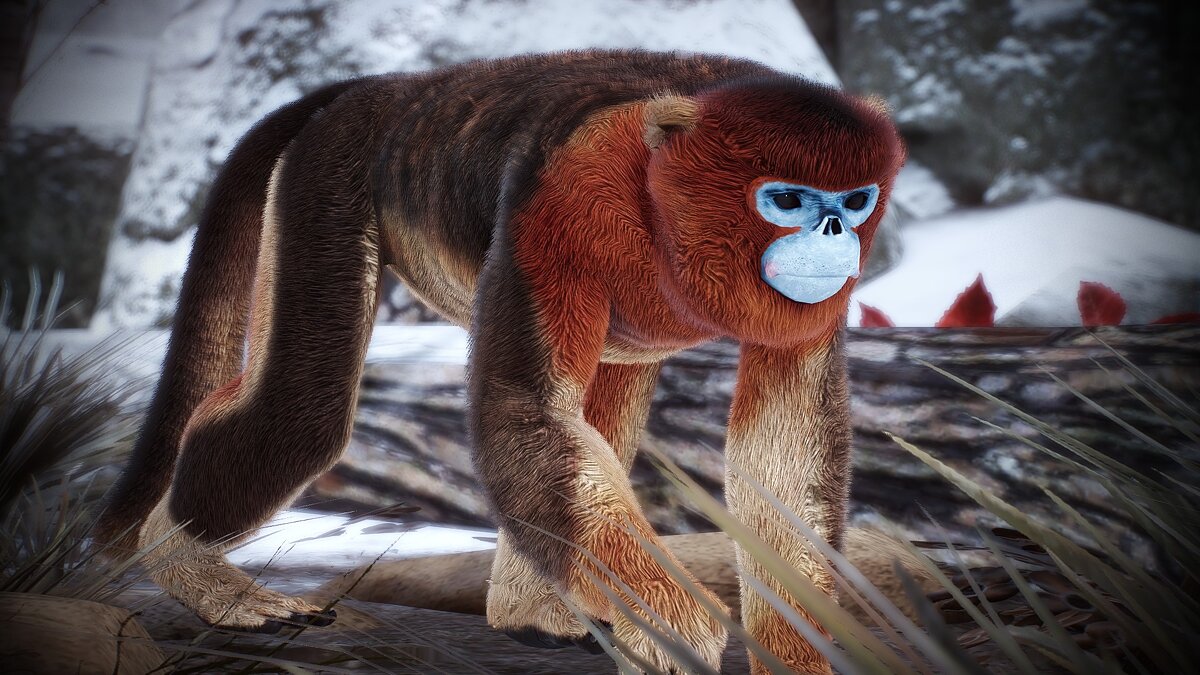 Planet Zoo — Новые виды - золотая курносая обезьяна