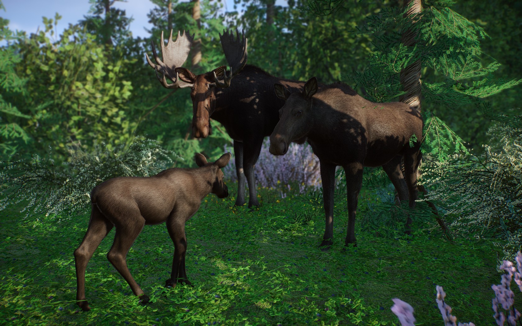 Planet zoo моды. Eurasian Elk.