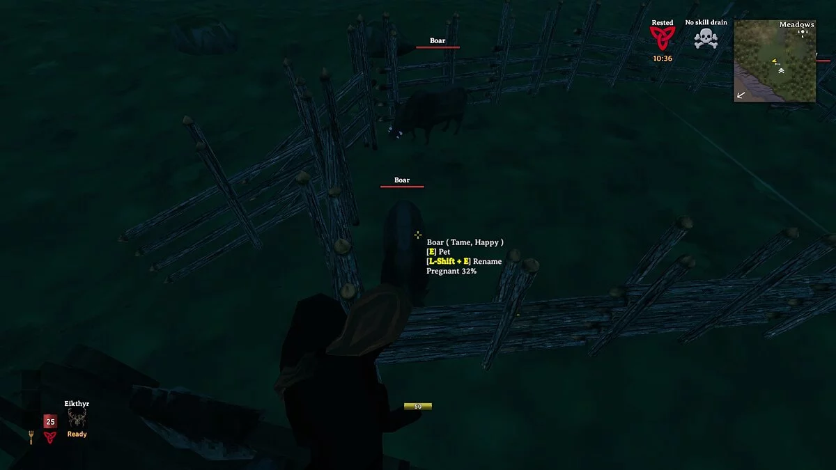 Valheim — Статус беременности