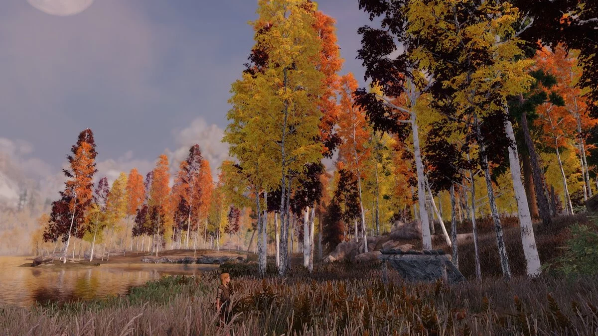 Elder Scrolls 5: Skyrim Special Edition — Скандинавские леса