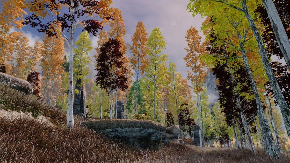Elder Scrolls 5: Skyrim Special Edition — Скандинавские леса