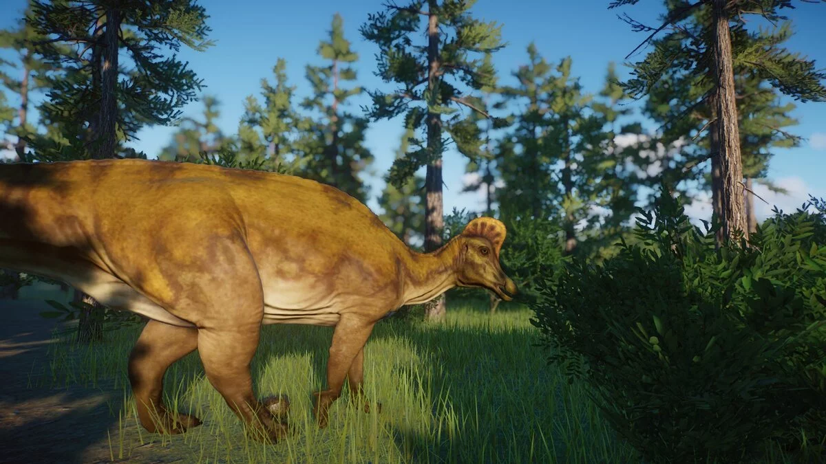 Planet Zoo — Новые виды — коритозавры