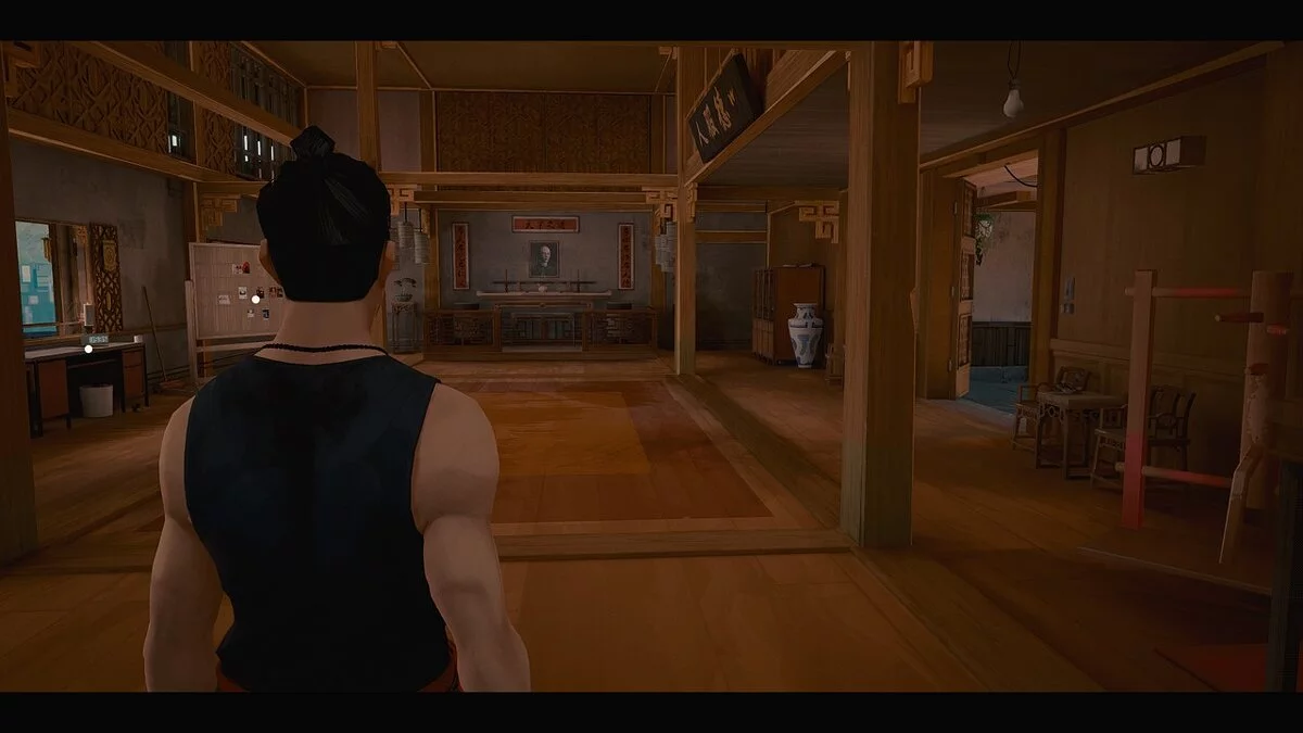 Sifu — Больше деталей и красок