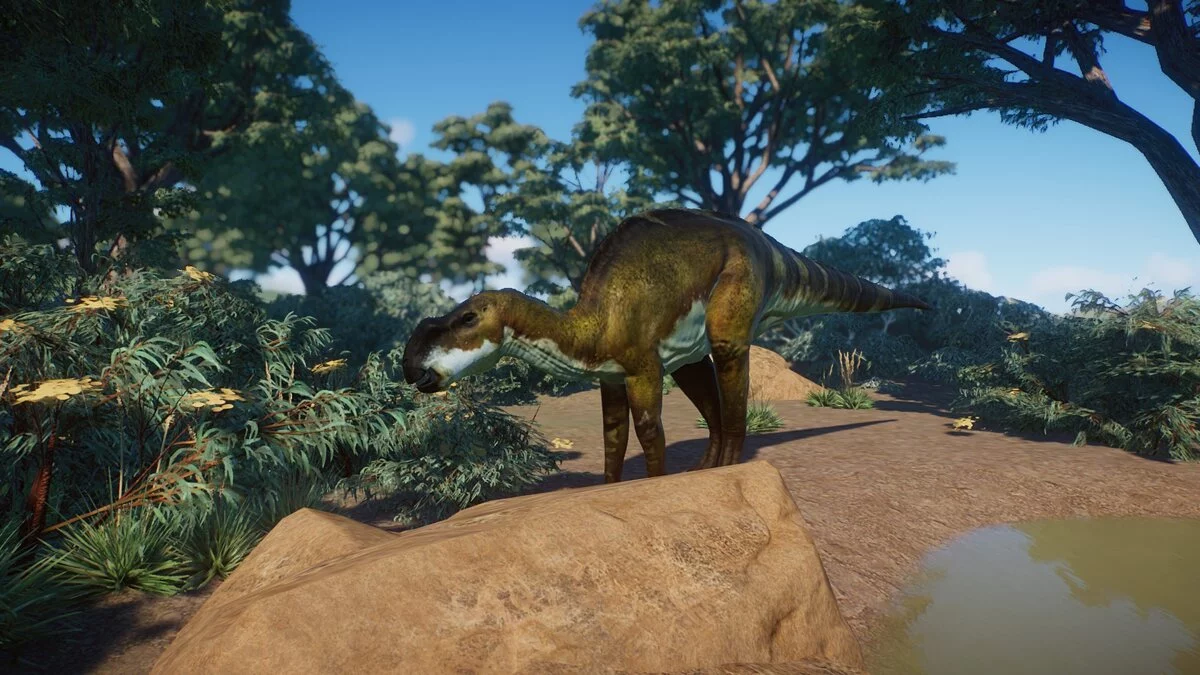 Planet Zoo — Муттабурразавр