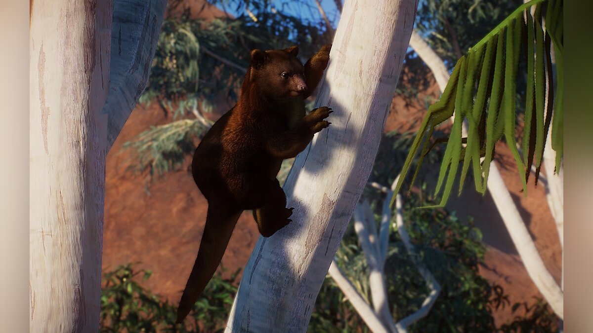 Planet Zoo — Новые виды - древесный кенгуру Гудфеллоу