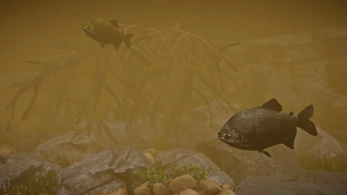 Planet Zoo — Тамбаки - новые виды