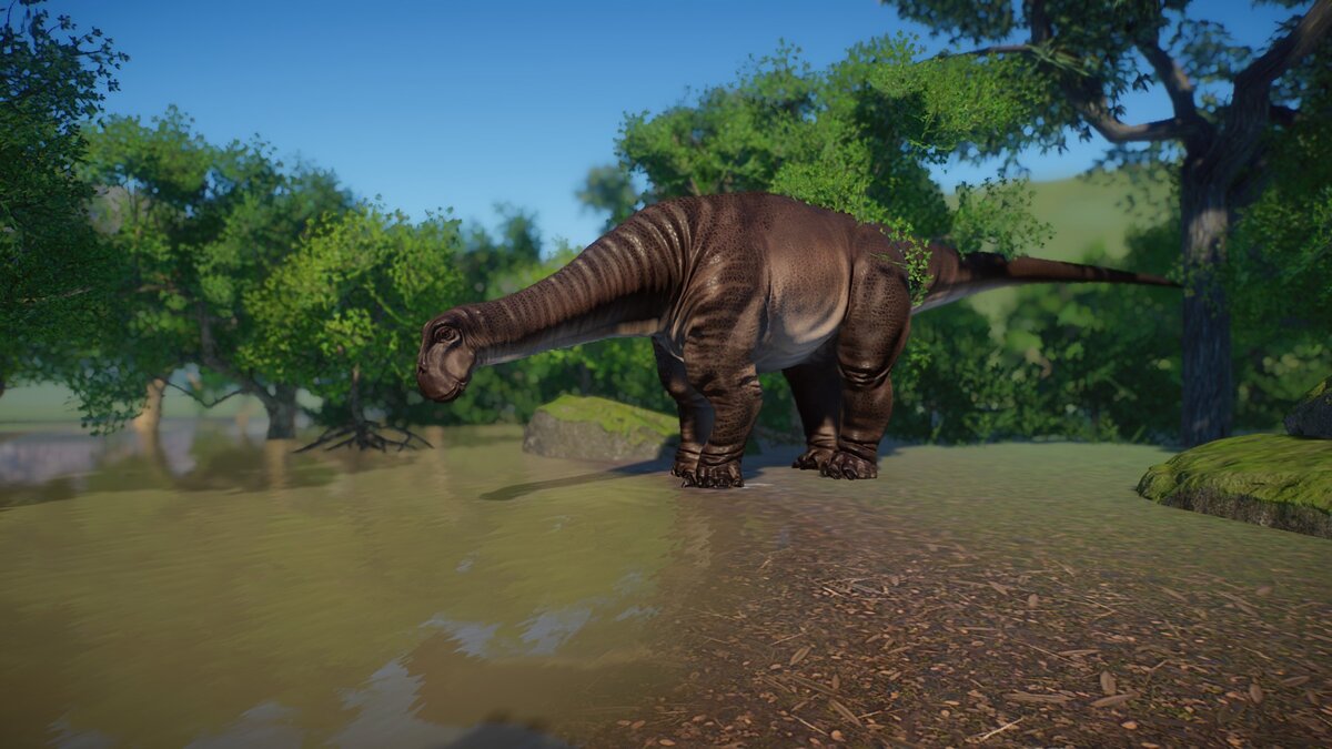 Planet Zoo — Новые виды - нигерзавр