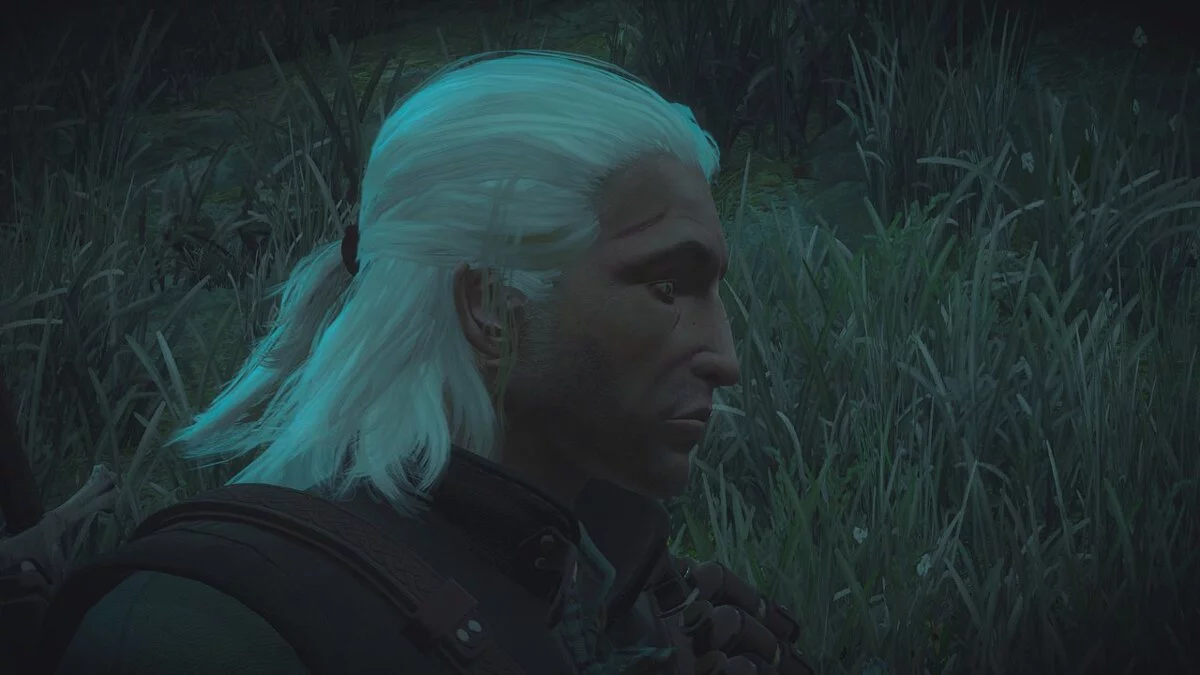 The Witcher 3: Wild Hunt — Оригинальный Ведьмак из первой части